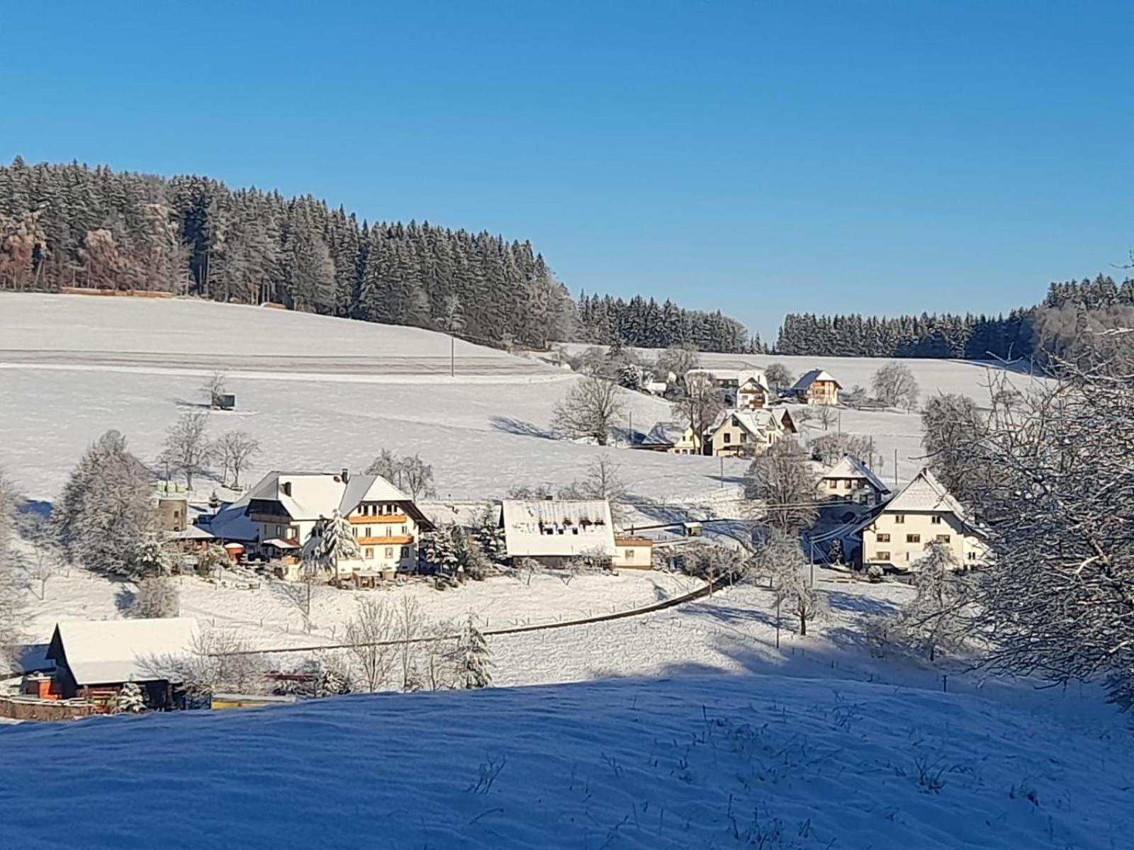 Dischhof Villa Biederbach Exterior photo