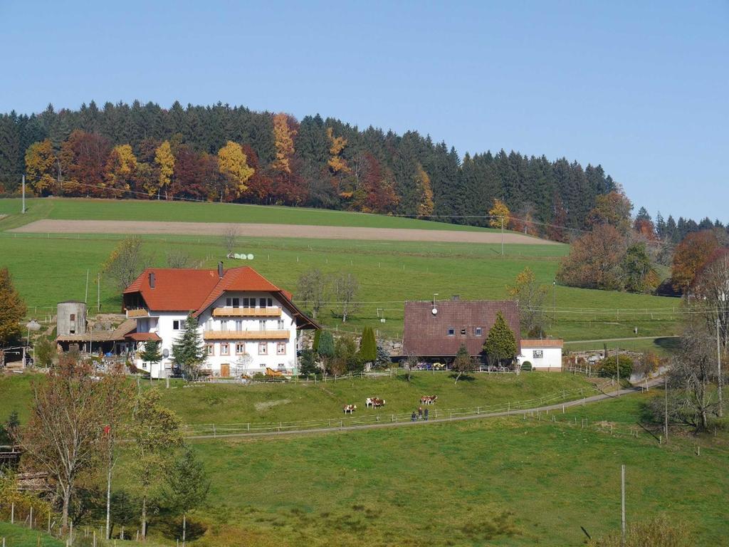 Dischhof Villa Biederbach Exterior photo